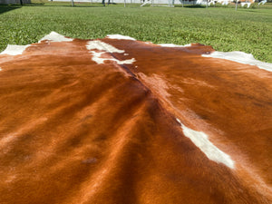 33. Brown and white Cowhide