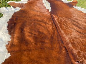 a196. Brown white Hereford Cowhide