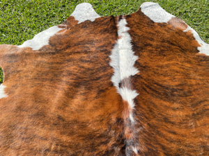 a171. Brindle white belly Cowhide