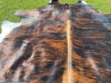 Load image into Gallery viewer, a176. Brindle Cowhide