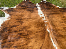 Load image into Gallery viewer, a181. Brindle white belly Cowhide