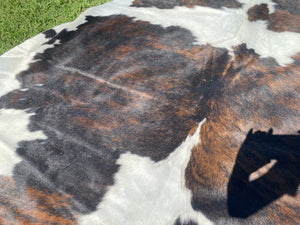 30. Brindle white belly Cowhide