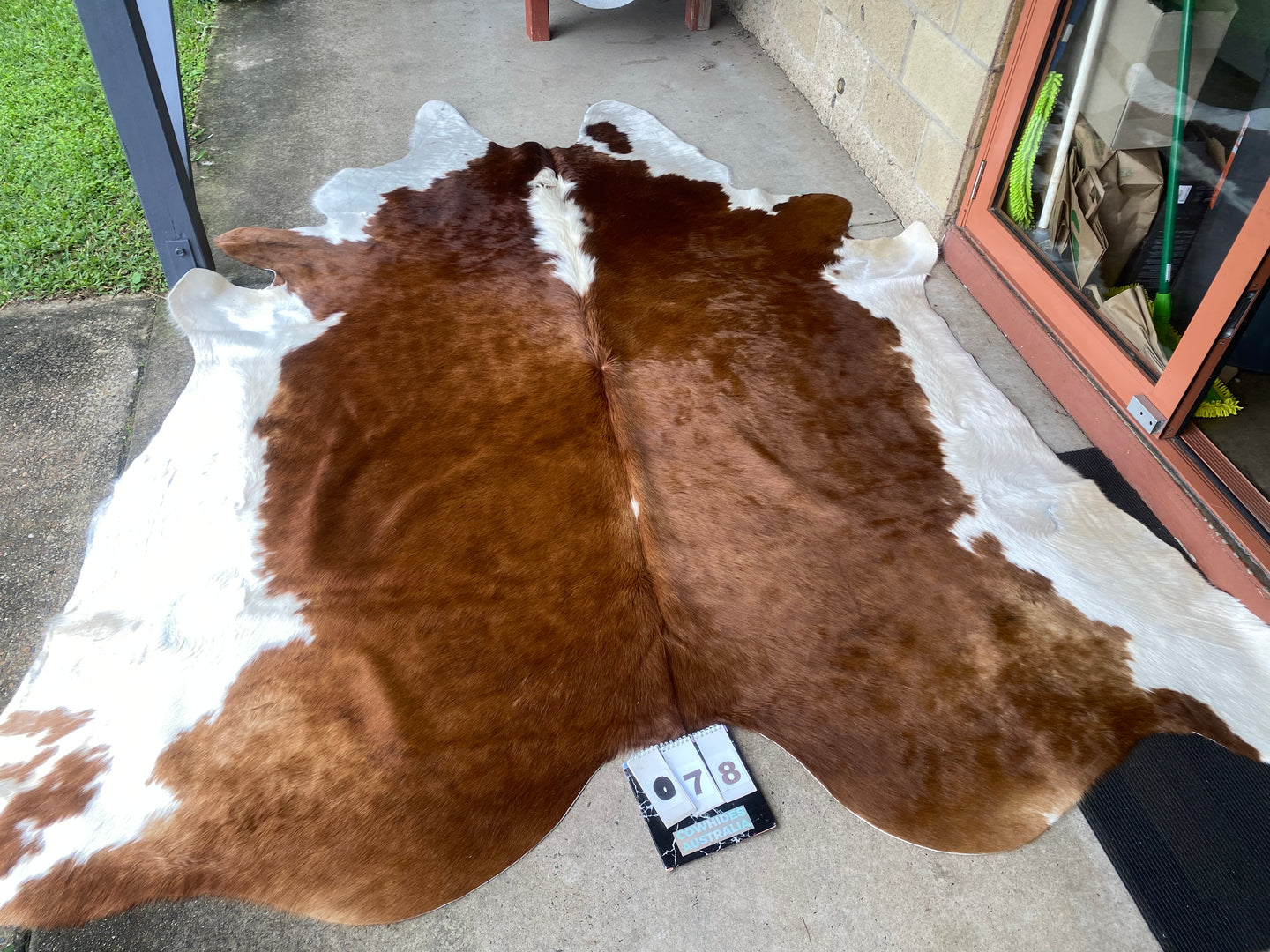 78. Brown white Hereford  Cowhide