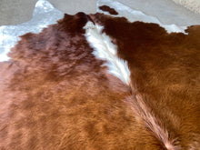 Load image into Gallery viewer, 78. Brown white Hereford  Cowhide