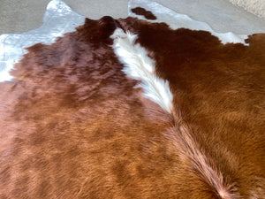 78. Brown white Hereford  Cowhide