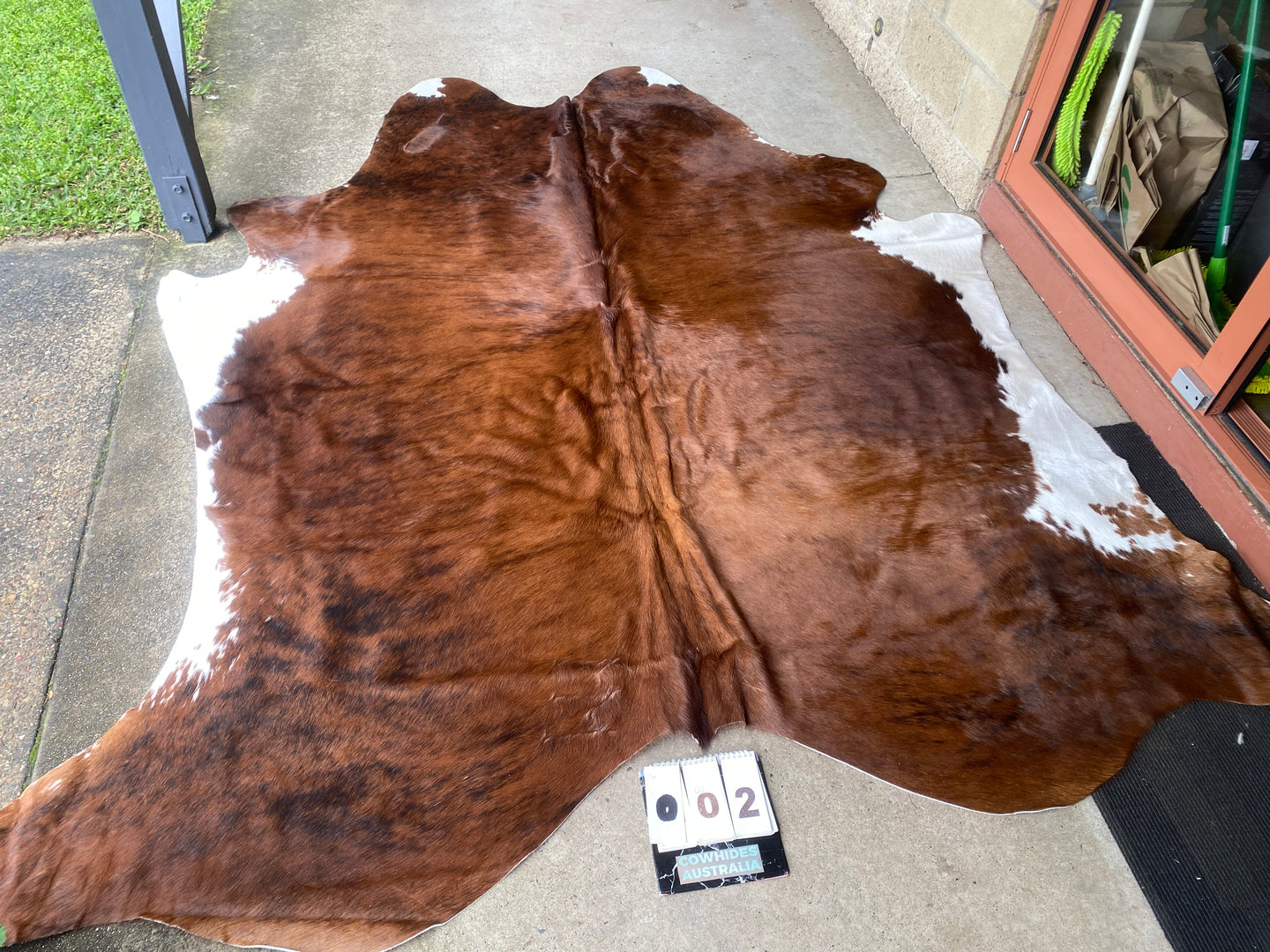 02. Brindle white belly  Cowhide