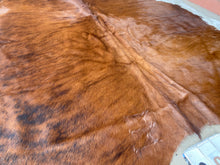 Load image into Gallery viewer, 02. Brindle white belly  Cowhide