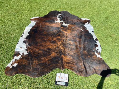 a103.brindle white belly Cowhide