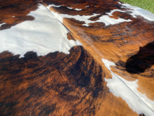 Load image into Gallery viewer, 91. Brindle tri colour Cowhide