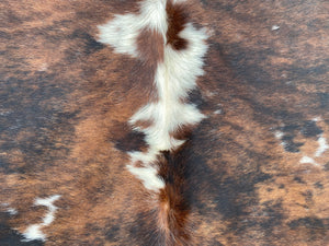 55.Brindle  and white Cowhide