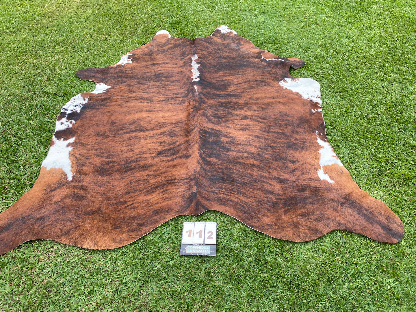 a112. Brindle and white Cowhide