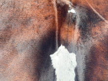 Load image into Gallery viewer, 70. Black white and red Cowhide