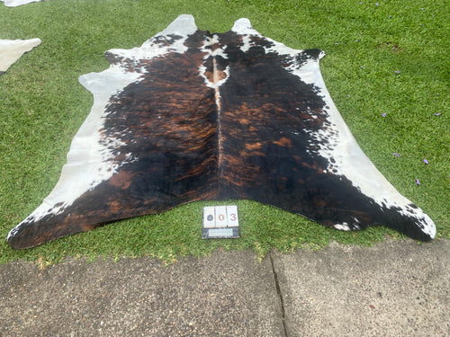 03. Brindle and white  Cowhide