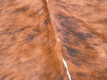 Load image into Gallery viewer, 29 brindle white belly Cowhide