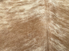 Load image into Gallery viewer, 16. Caramel Brindle Cowhide