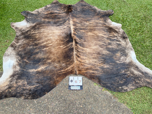 67.  Brindle Cowhide