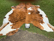 Load image into Gallery viewer, 72. Brindle and White Cowhide