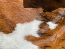 Load image into Gallery viewer, 72. Brindle and White Cowhide