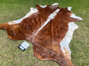 a111. Brown white Brindle white belly  Cowhide