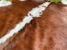 Load image into Gallery viewer, a111. Brown white Brindle white belly  Cowhide