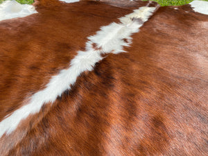 a111. Brown white Brindle white belly  Cowhide