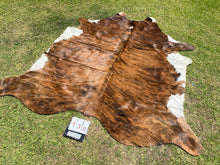 Load image into Gallery viewer, a138. Brindle white belly  Cowhide