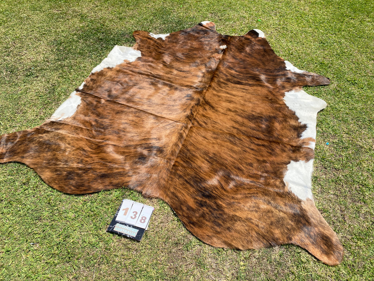 a138. Brindle white belly  Cowhide