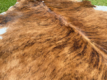 Load image into Gallery viewer, 07. Brindle white belly cowhide