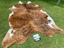 Load image into Gallery viewer, 24. Brindle white belly Cowhide