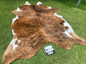 24. Brindle white belly Cowhide