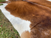 Load image into Gallery viewer, 94. Black white reddish salt pepper  Cowhide