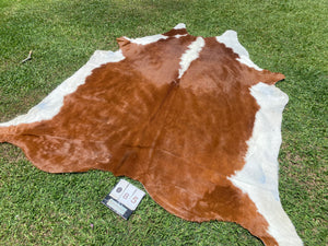 85. Hereford brown white Cowhide