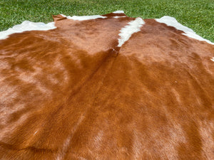 85. Hereford brown white Cowhide