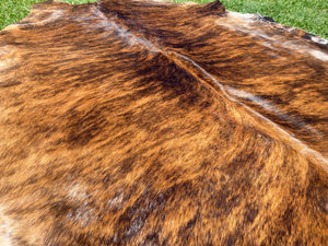 81. Brindle cowhide