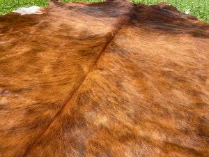 73. Brindle Cowhide