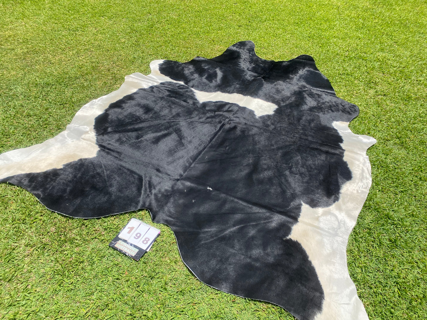 a198. Black white Cowhide