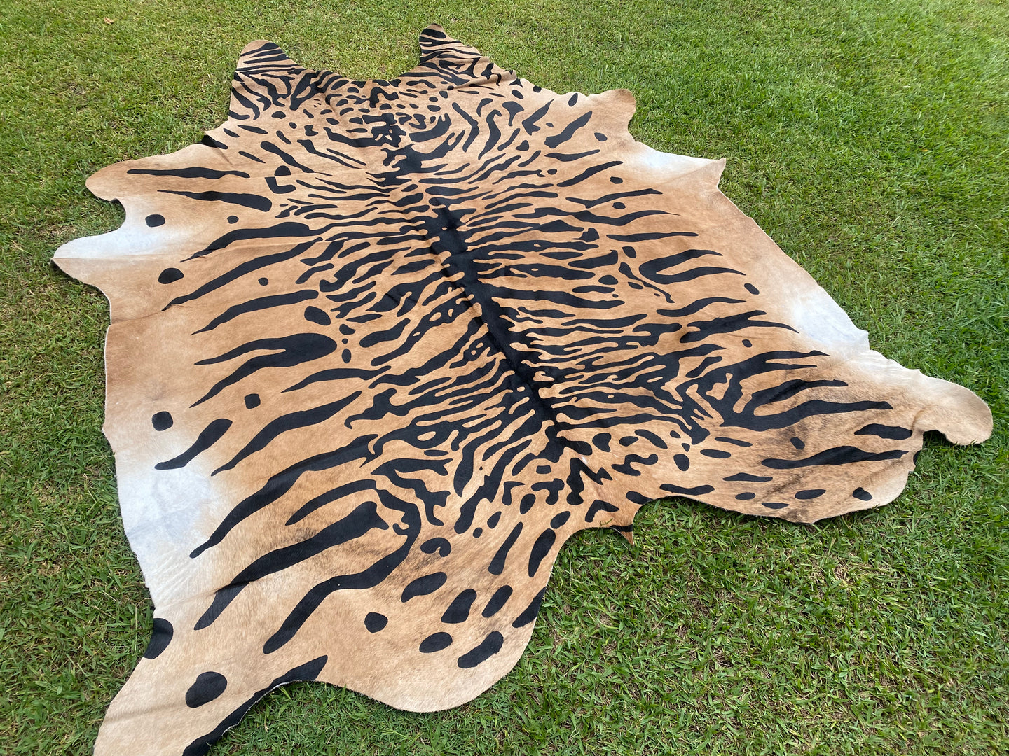 06. Tiger print Cowhide