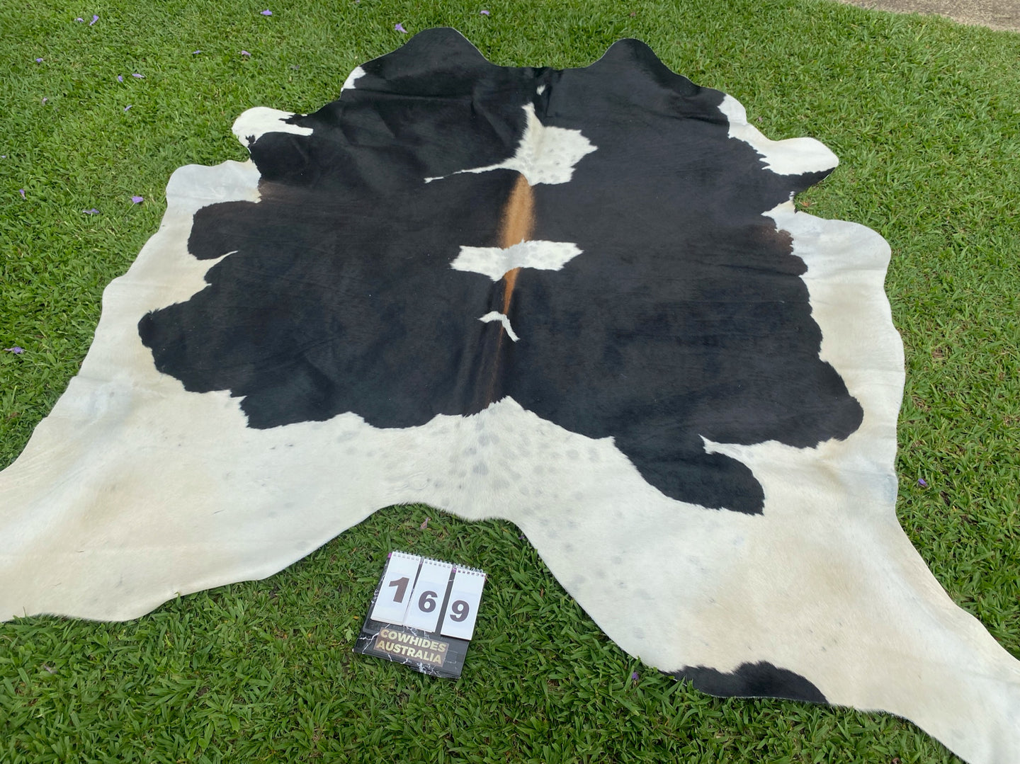 a179. Black and White with Red Cowhide