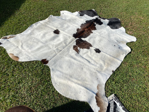 a120.  black white  reddish Cowhide