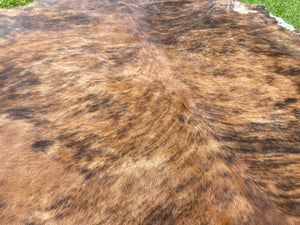 a189. Brindle Cowhide