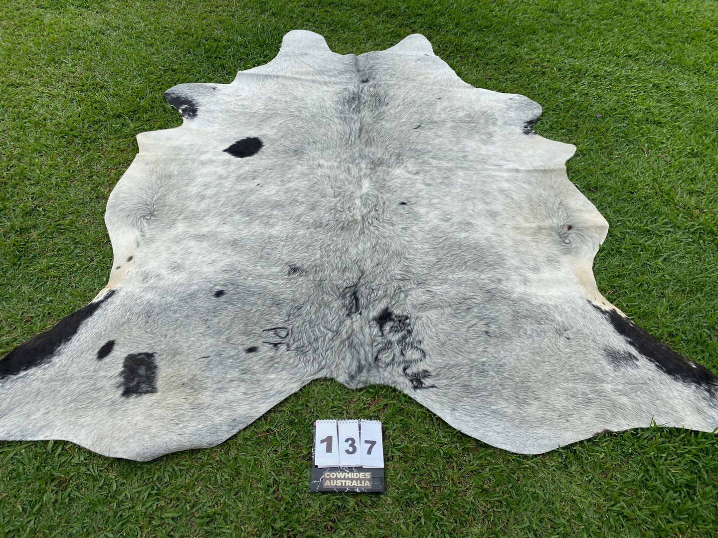 a137. Grey Roan Salt and Pepper Cowhide